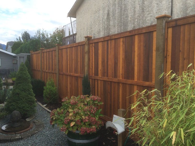 5 Eco-Friendly Reasons To Choose Cedar Fencing